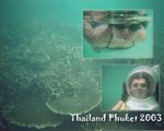 phuketwallpaper