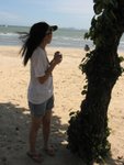 windy