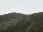 a large group of hikers