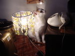 DSC03458