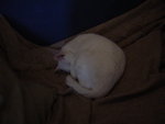 DSC03460