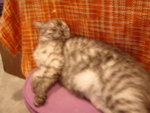 DSC03471