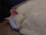 DSC03475