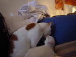 DSC03480