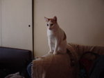 DSC03490