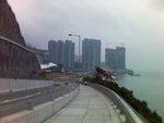 Picture(55)