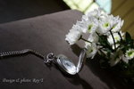 DPP_2667