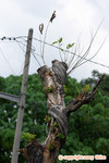 IMG_9367 copy