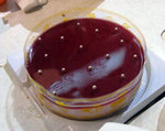 
Another mousse cake