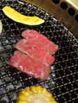 
���P�����toro