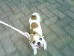 DSC00447