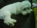 
�}�I�J�Y�ڲĤG�ӪB��
