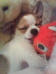 �r��nemo�V