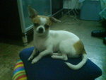 �ڱN�ӫҴ�