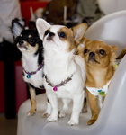 3���̪�