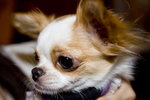 IMG_0073_59_1