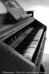 DSC_7232s