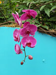 PICT2307