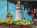 PICT2324