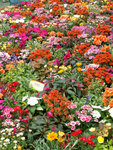 PICT2342