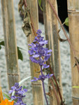 PICT2344