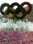 PICT2356