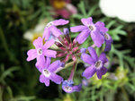 PICT2384