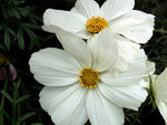 PICT2385