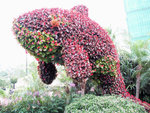 PICT2408