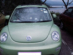 PICT2643a
