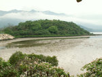 PICT2645a
