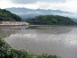 PICT2656a