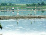 PICT2672a