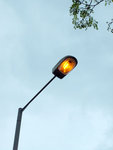 PICT2674a
