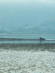 PICT2683a