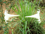 PICT2692a