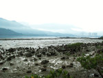 PICT2713a