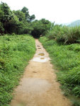 PICT2721a