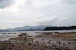 PICT0448a