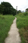PICT0456a
