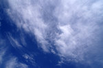 PICT2249a