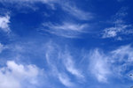 PICT2254a