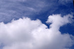 PICT2255a