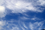 PICT2282a