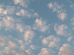 PICT5682