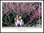 �L���a�����
