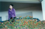 __hr_scan0006
