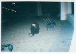 scan0010