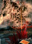 ������С ��ɽӡ��08