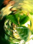 ������С leaf01